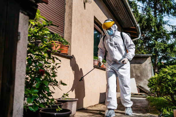 Professional Pest Control in Great Falls, SC
