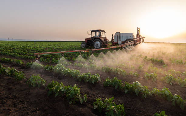 Best Pest Control for Businesses  in Great Falls, SC