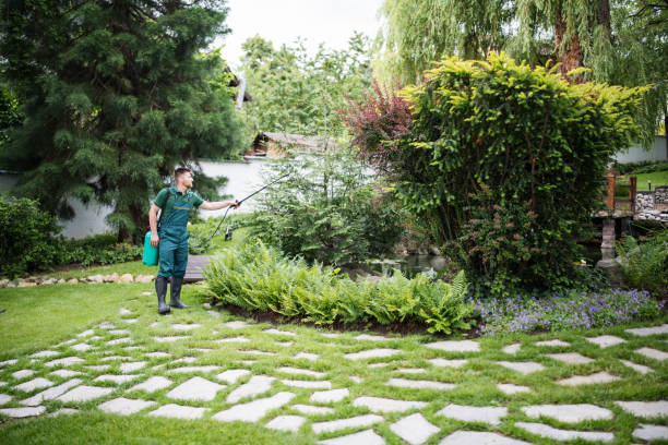 Best Affordable Pest Control Services  in Great Falls, SC