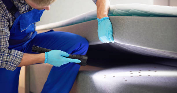 Best Mosquito Control Services  in Great Falls, SC