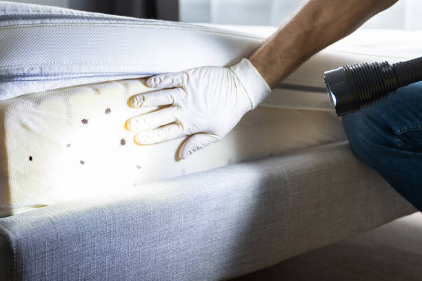 Best Exterminator Services  in Great Falls, SC