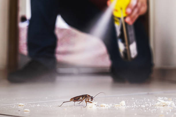 Best Wildlife Control Services  in Great Falls, SC