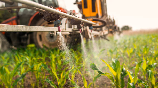 Best Commercial Pest Control Services  in Great Falls, SC